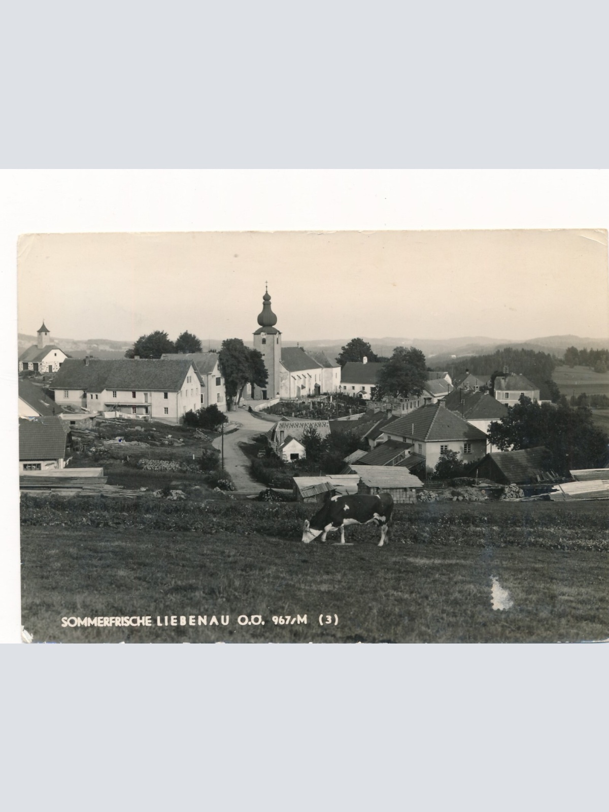 AK aus Liebenau Oberösterreich (J118)