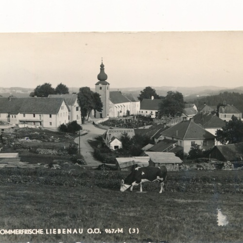 AK aus Liebenau Oberösterreich (J118)