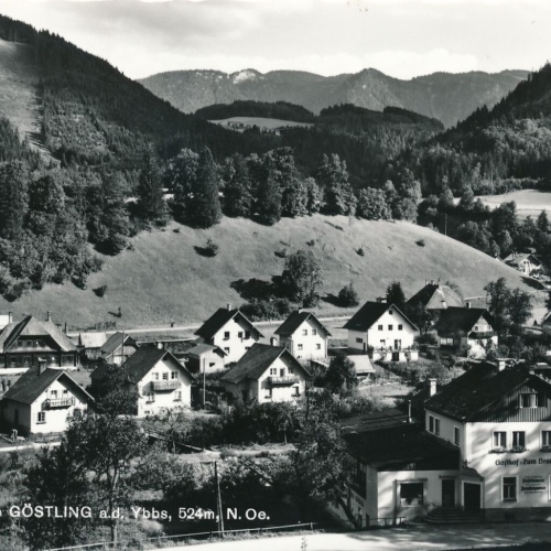 AK aus Göstling Niederösterreich (10490)