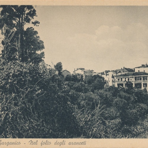 AK aus Rodi Garganico Italien Ansichtskarte (10939)