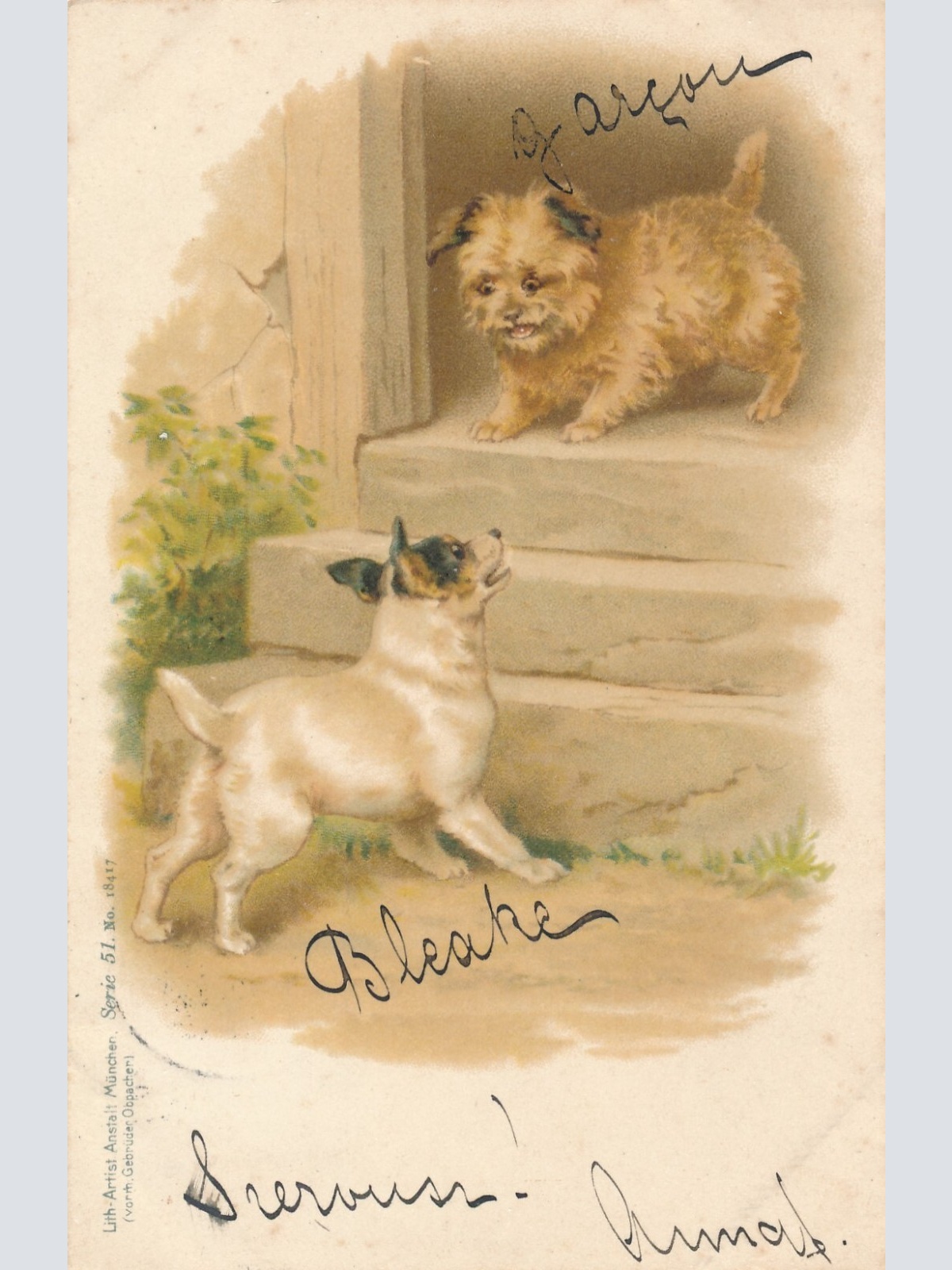 Motiv - Karte von zwei Hunden Ansichtskarte (10362)