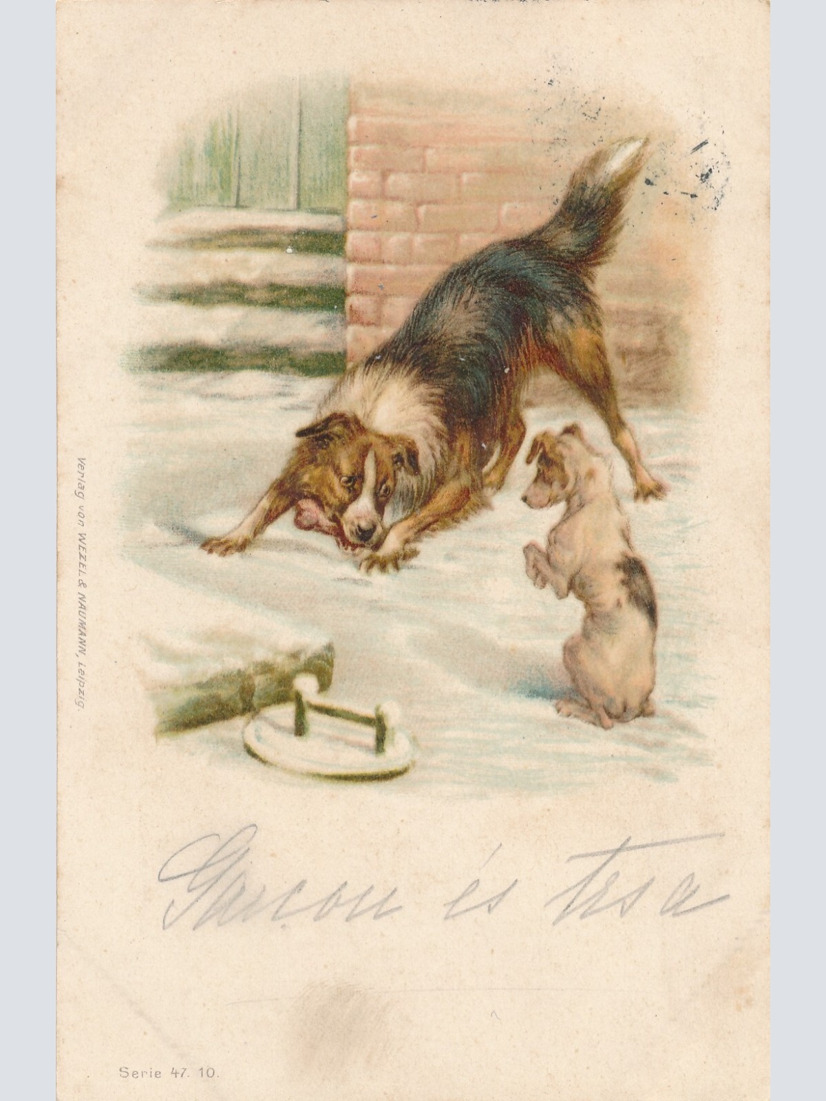 Motiv - Karte von zwei Hunden im Schnee Ansichtskarte (10377)