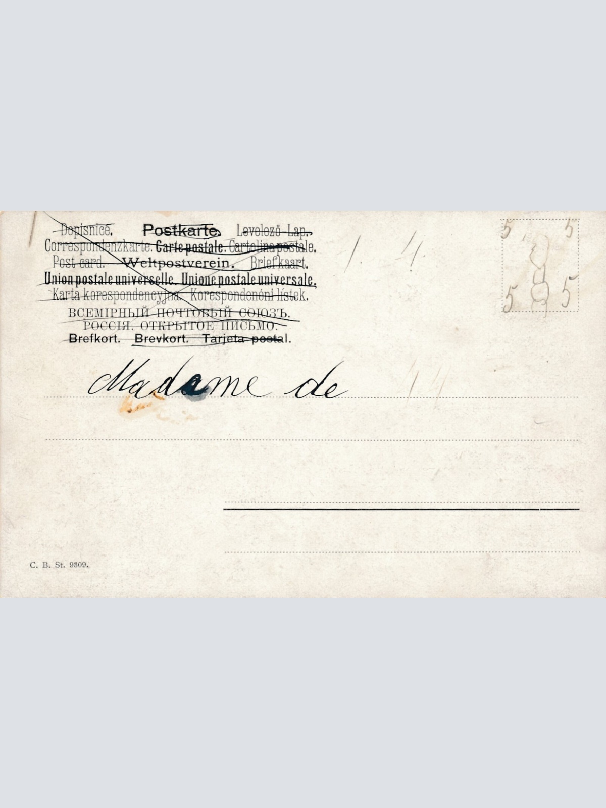 Motiv - Karte von zwei Hunden und einem Eichhörnchen Ansichtskarte (10376)