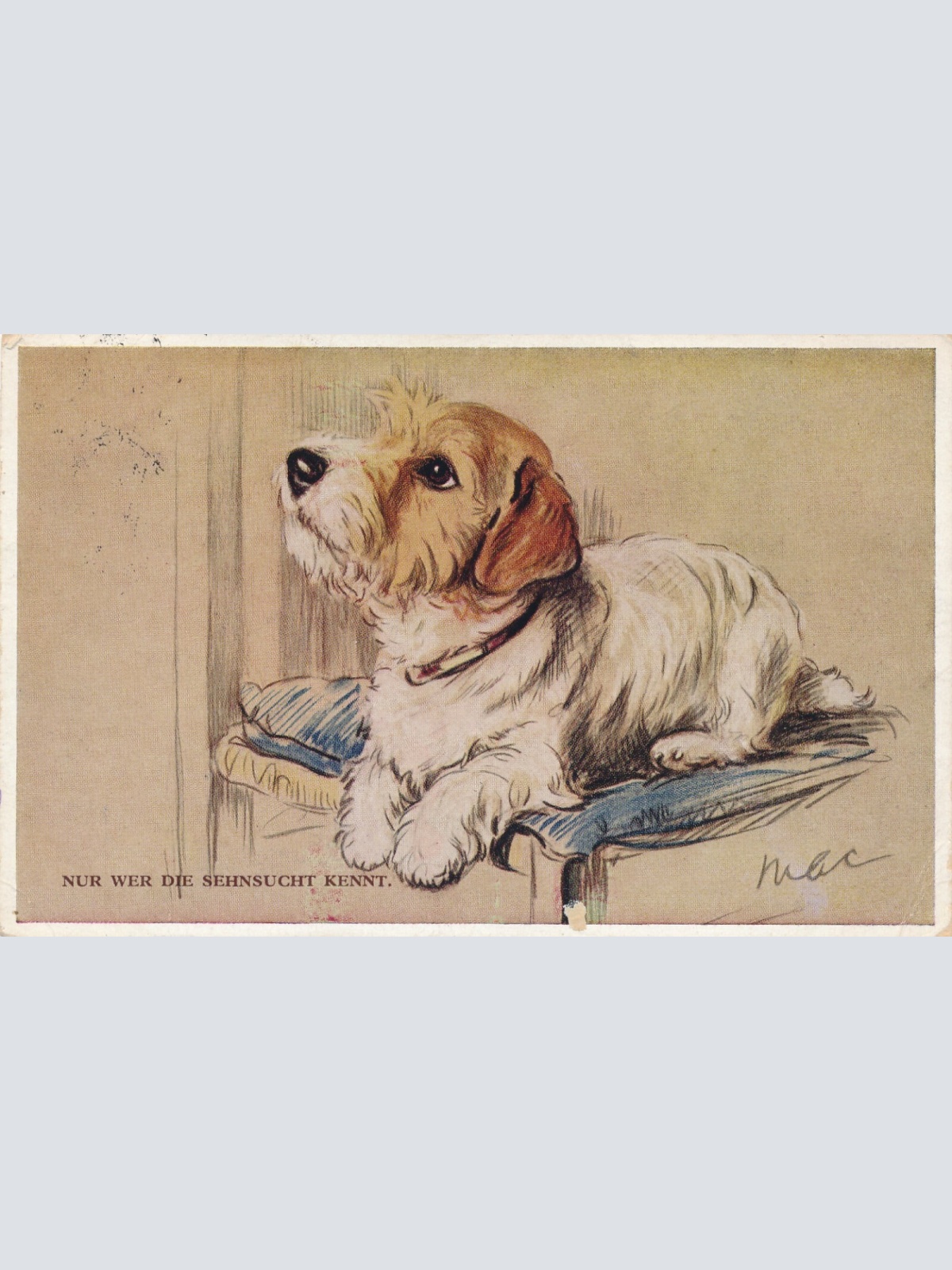 Motiv - Karte von einem Hund nur wer die Sehensucht kennt Ansichtskarte (10374)