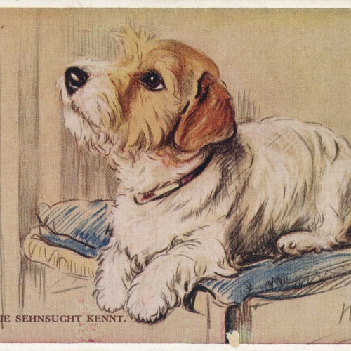 Motiv - Karte von einem Hund nur wer die Sehensucht kennt Ansichtskarte (10374)