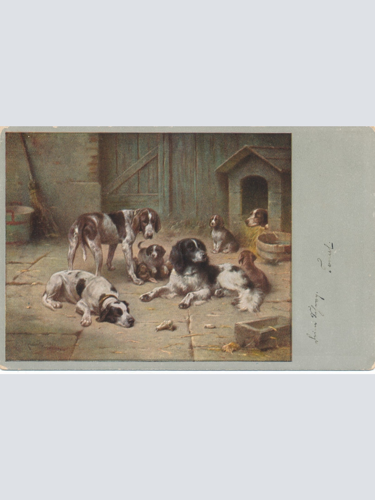 Motiv - Karte von neun Hunden Ansichtskarte (10364)