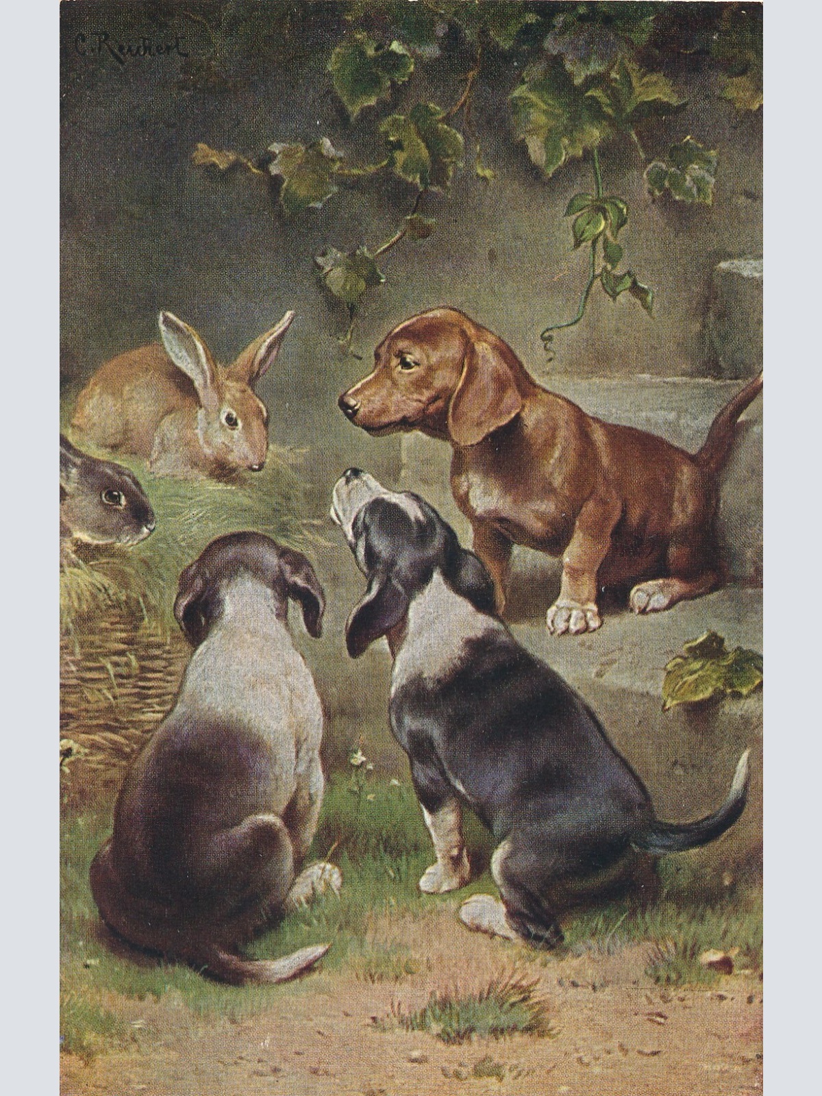 Motiv - Karte von drei Dackeln mit Hasen Ansichtskarte (10368)