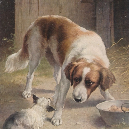 Motiv - Karte zwei Hunden Ansichtskarte (10369)