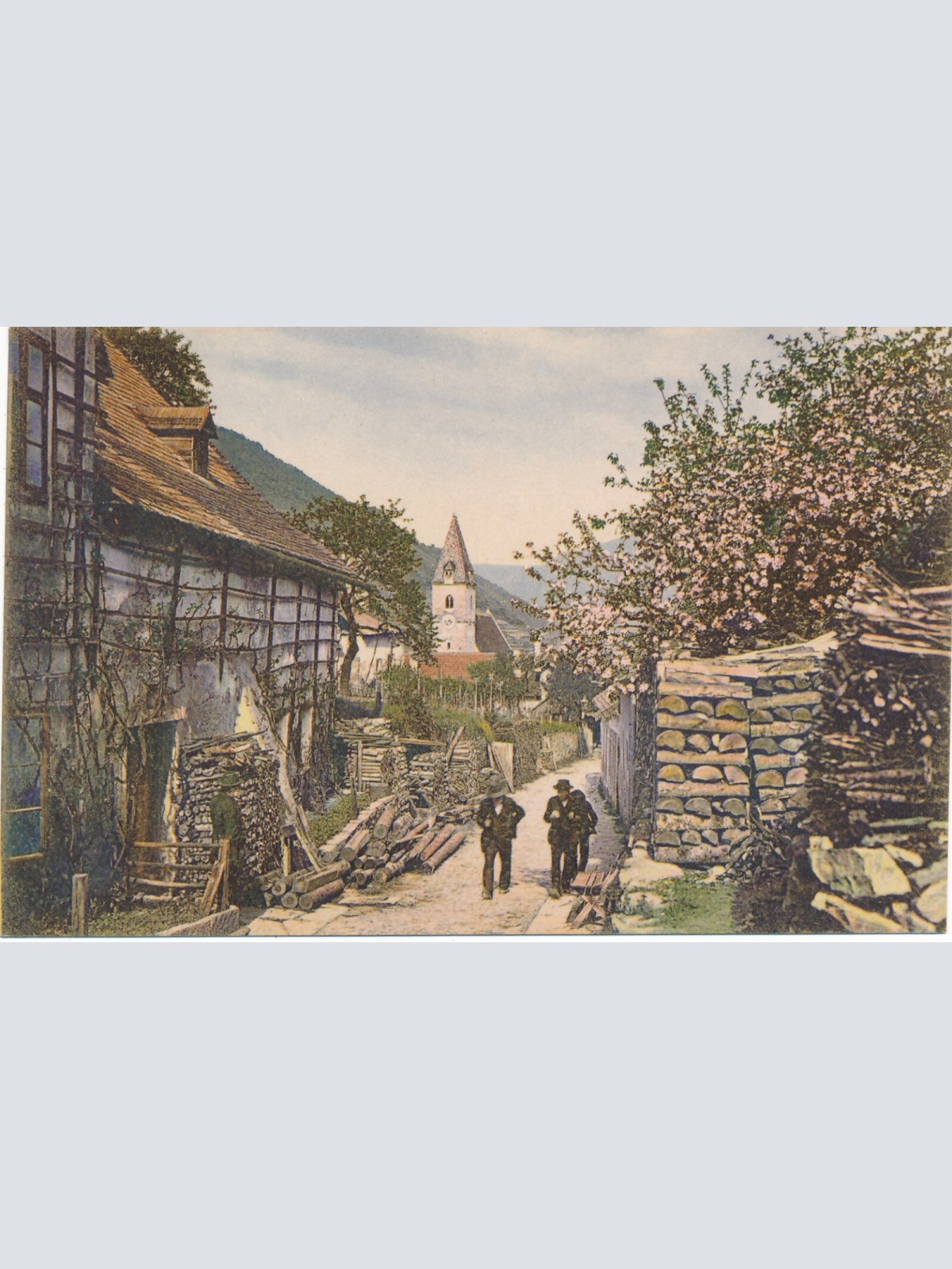 AK aus Wachau motiv aus Spitz Niederösterreich Ansichtskarte (10965)