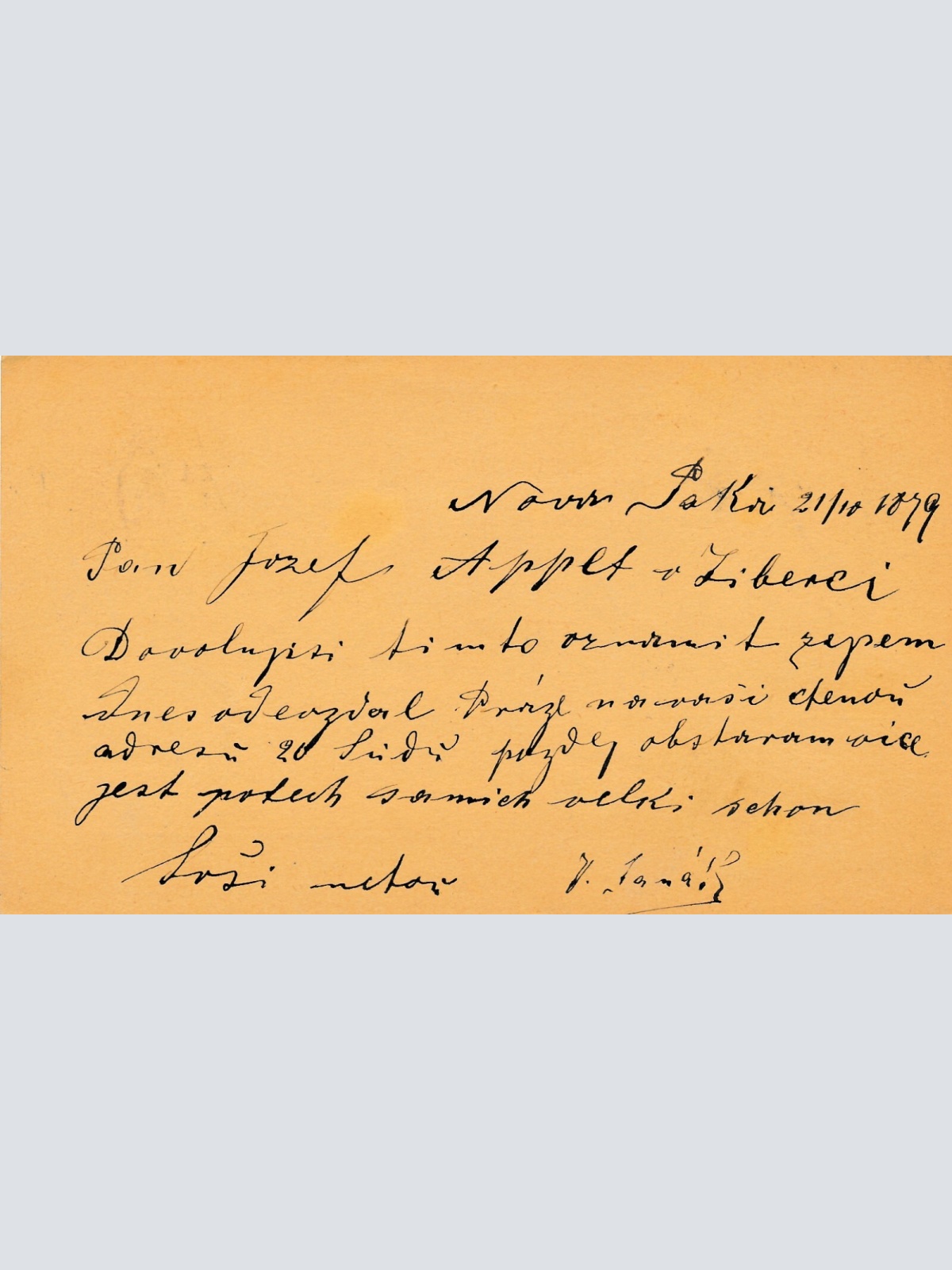 2 Kreuzer - Ganzsachen - Karte 1879 aus Neu Paka (10860)