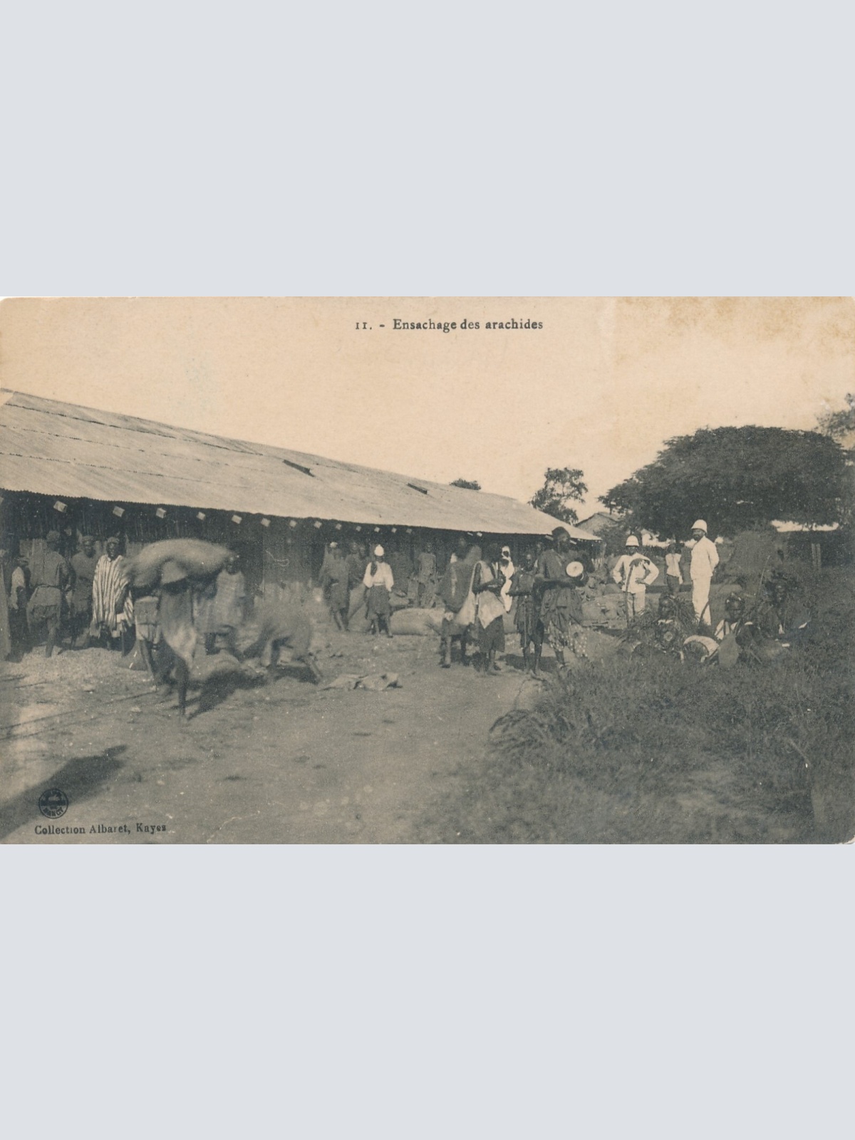 AK aus Kayes Mali Afrika Ansichtskarte (9679)