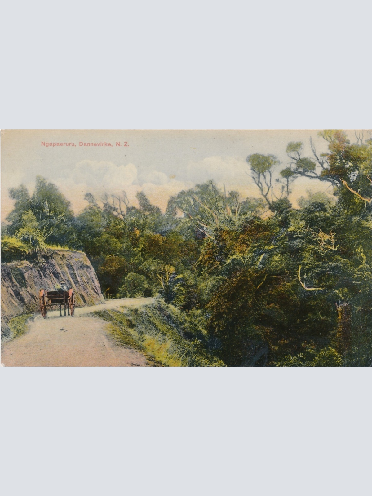 AK aus Ngapaeruru Senegal Afrika Ansichtskarte (9568)