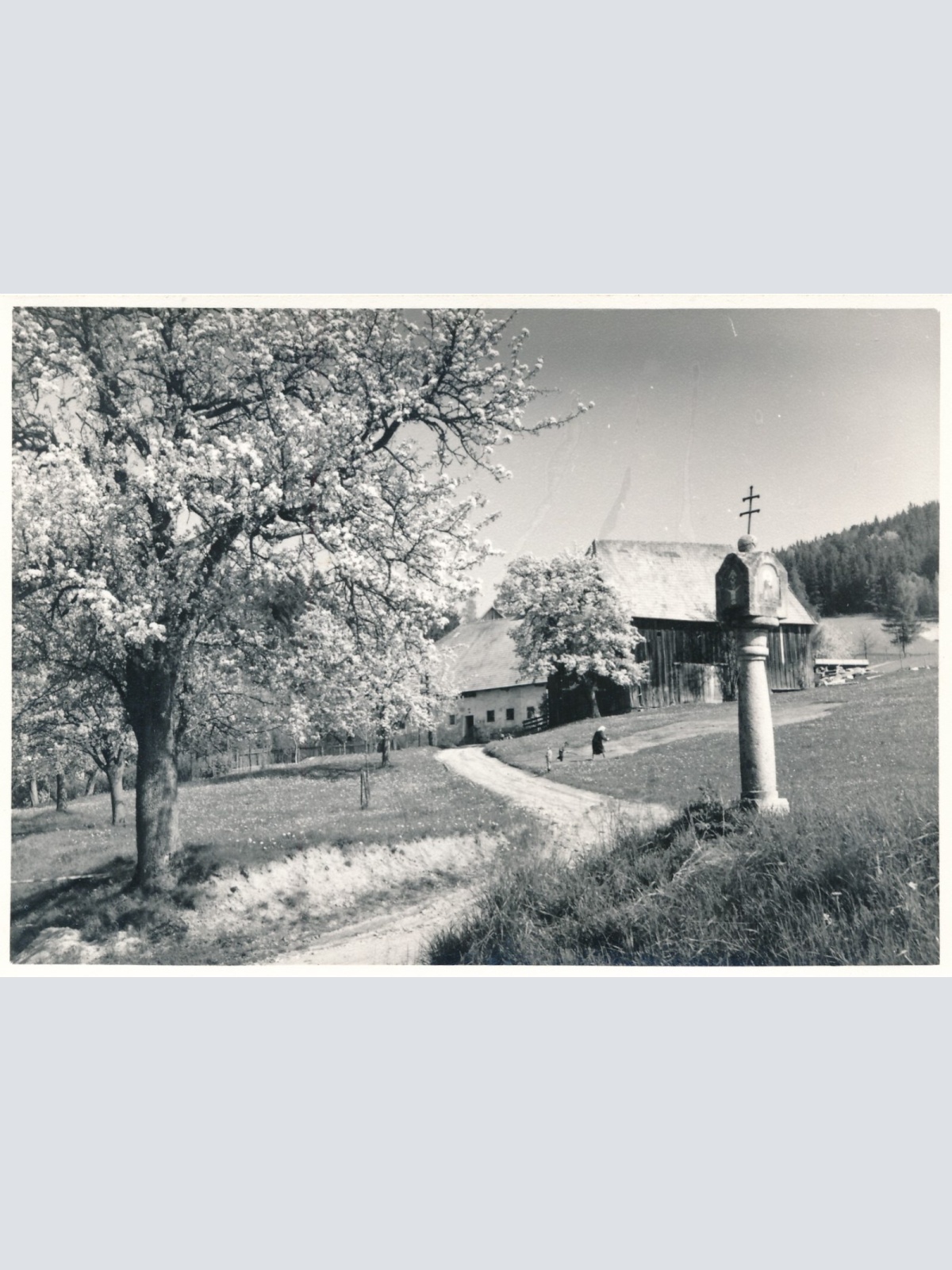 AK, Haslach, Oberösterreich (S2545)