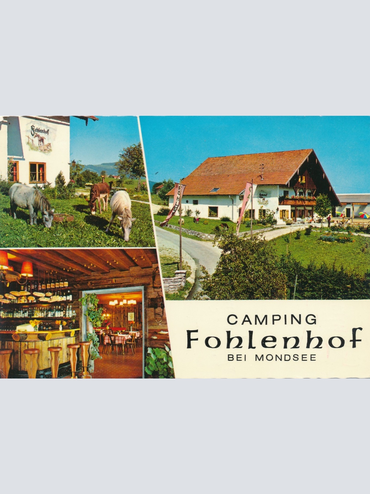 AK aus Mondsee mit Flohenhof Oberösterreich Ansichtskarte (11246)