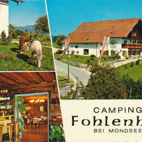 AK aus Mondsee mit Flohenhof Oberösterreich Ansichtskarte (11246)