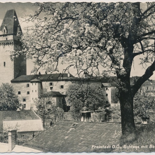 AK, Freistadt, Oberösterreich, Schloss (S2474)