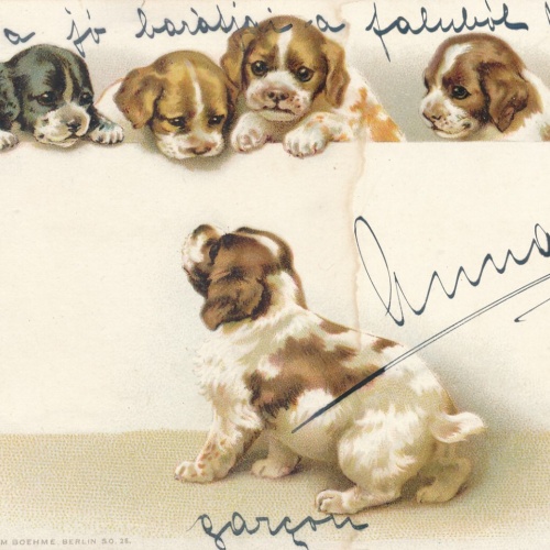 Motiv - Karte von kleinen Welpen (10353)