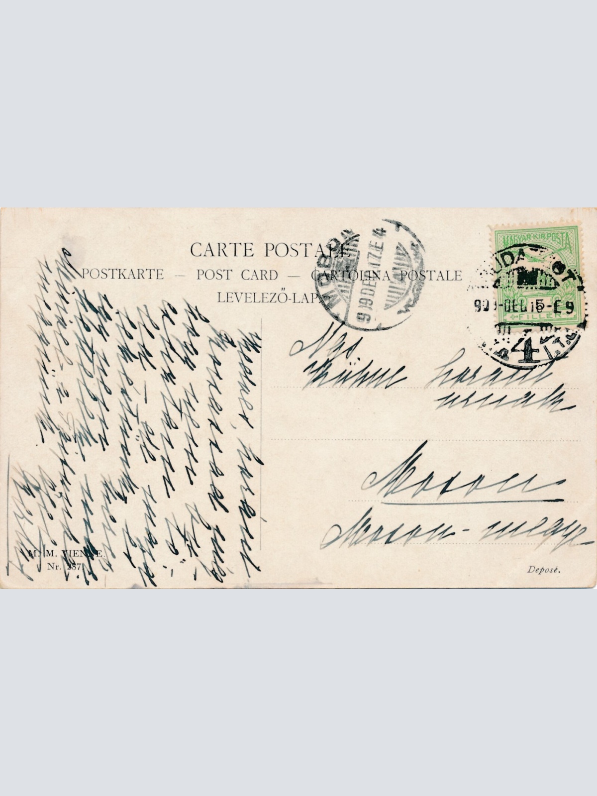 Motiv - Karte von drei Hunden verschiedene Rassen Ansichtskarte (10354)