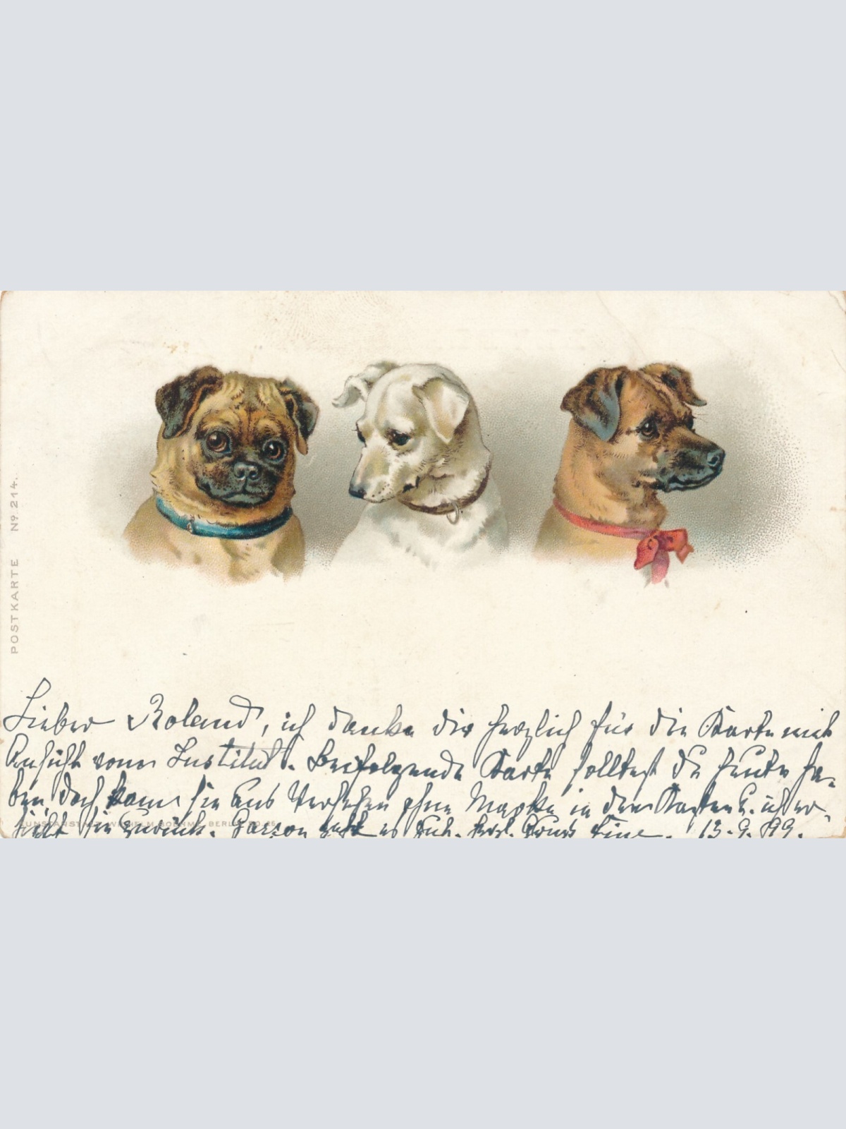 Motiv - Karte von drei Hunden verschiedene Rassen Ansichtskarte (10360)