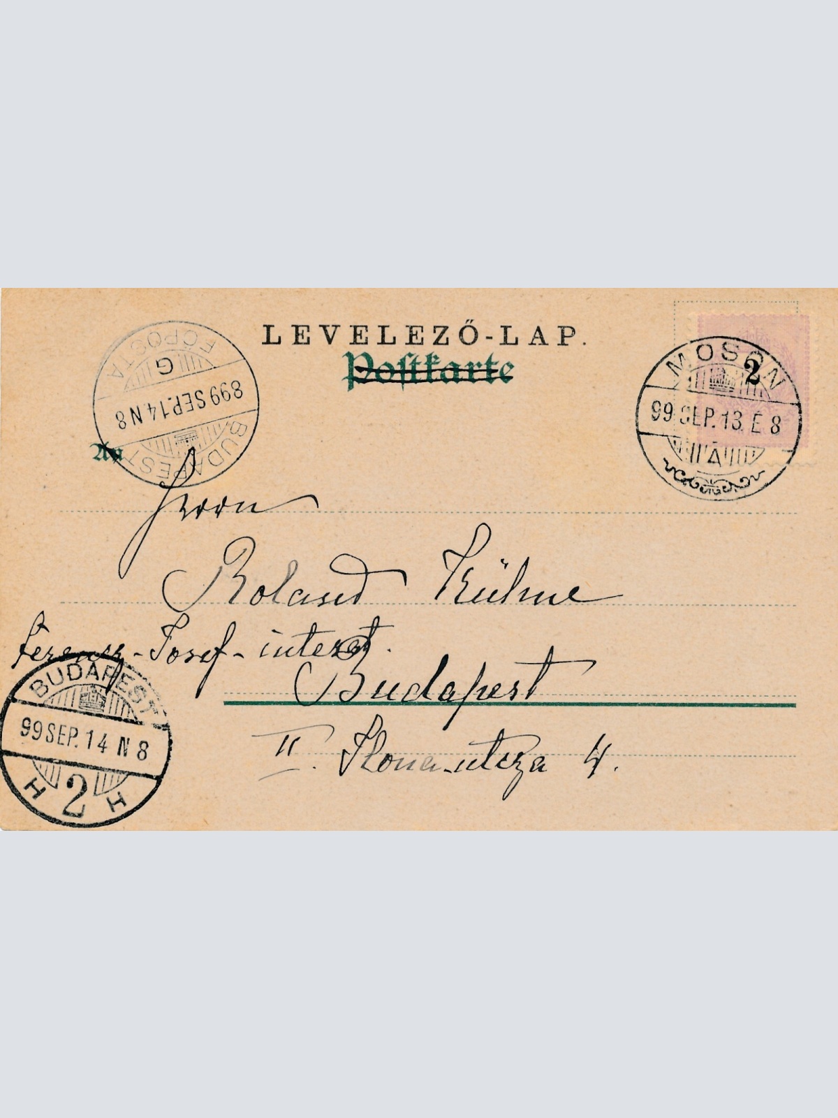 Motiv - Karte von drei Hunden verschiedene Rassen Ansichtskarte (10360)