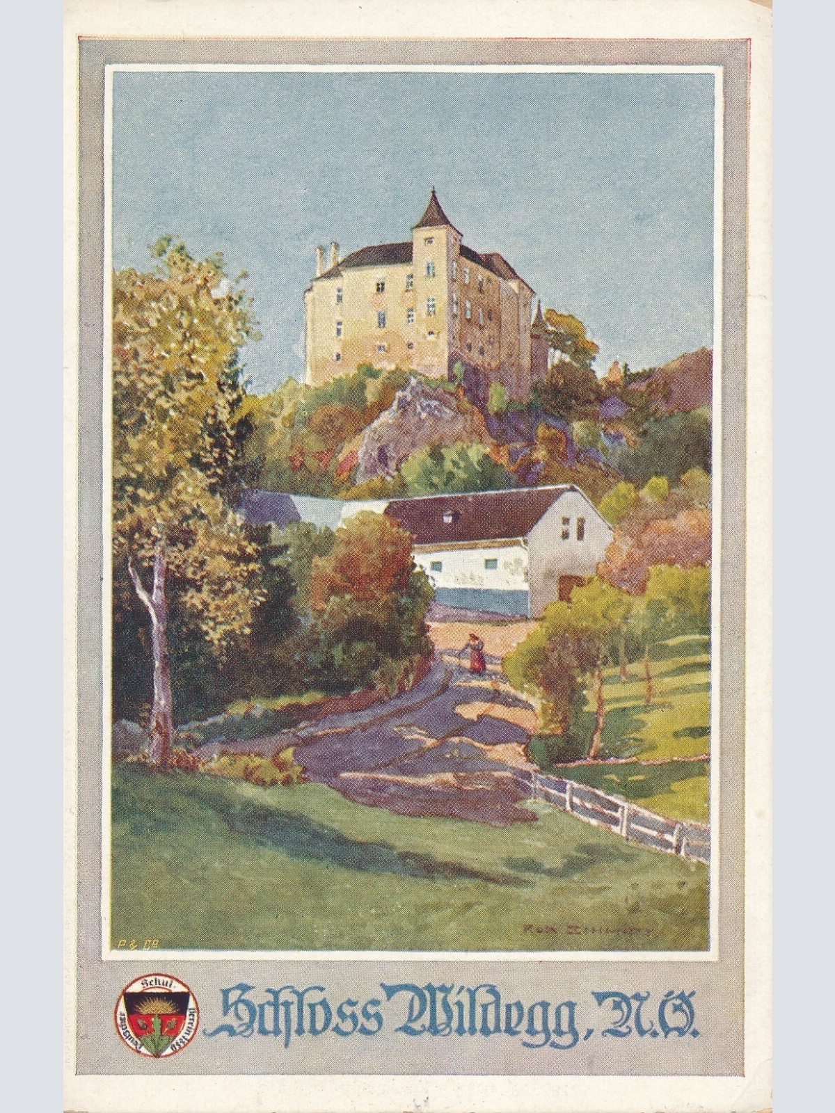 AK vom Schloss Wildegg Niederösterreich Ansichtskarte (11635)