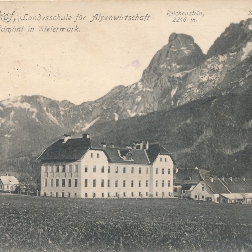 AK aus Grabenhof Steiermark Ansichtskarte (11435)