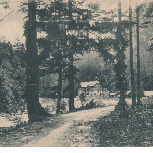 AK aus Aflenz mit Erholungsheim Fölz Steiermark Ansichtskarte (11961)