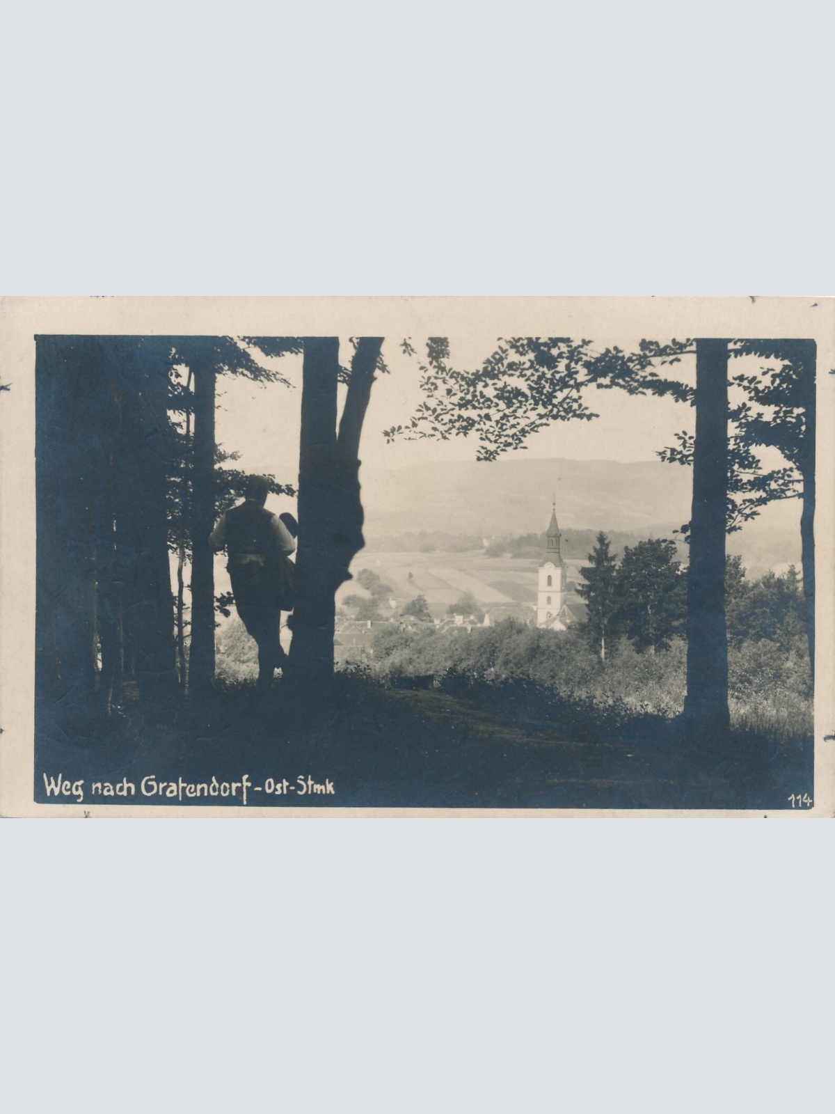 AK Weg nach Gratendorf Steiermark Ansichtskarte (11944)