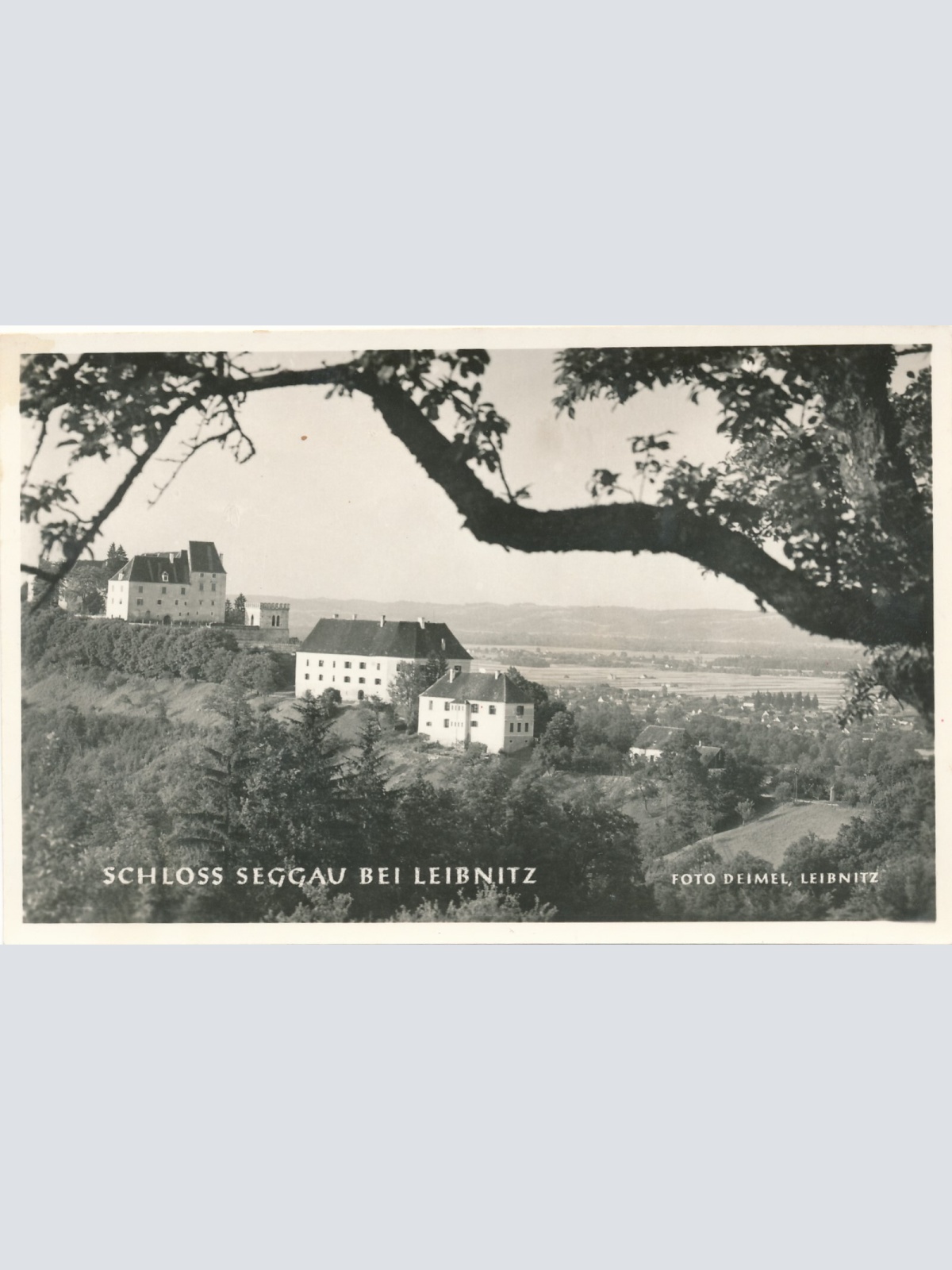 AK aus Schloss Seggau bei Leibnitz Steiermark Ansichtskarte (11984)