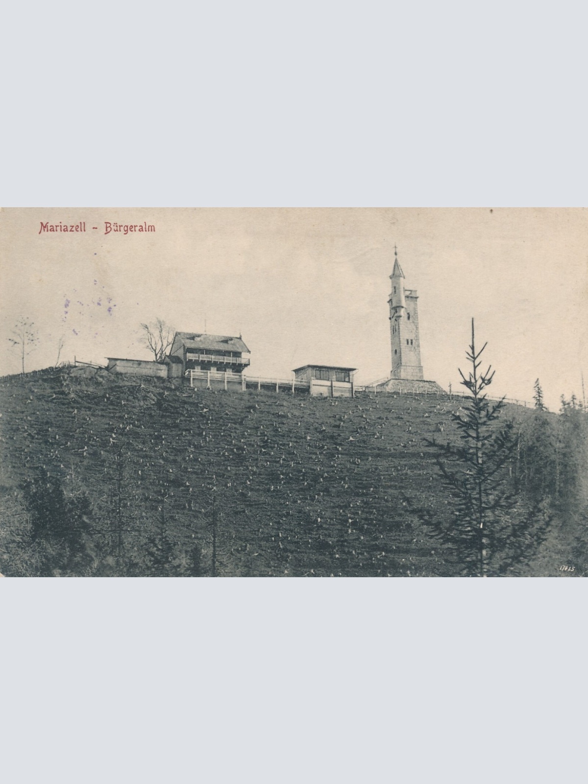 AK aus Mariazell Bürgeralpe Steiermark Ansichtskarte (11990)