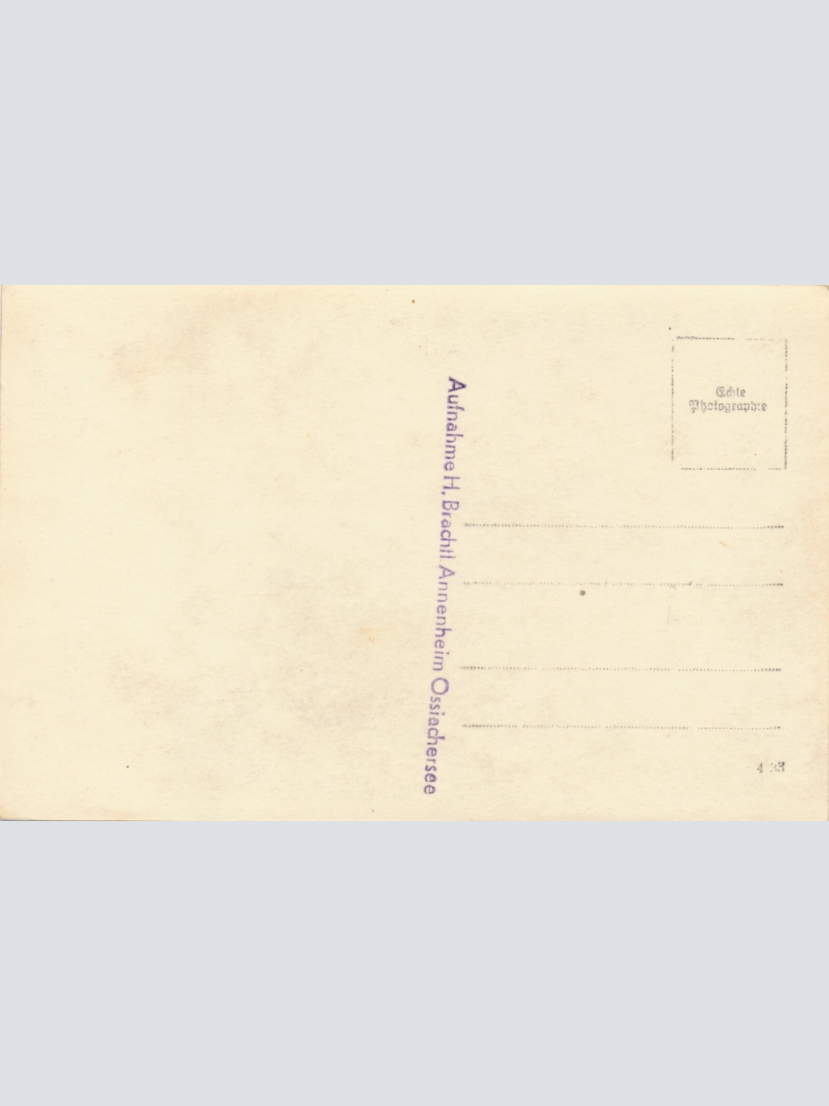 AK vom Ossiachersee Kärnten Ansichtskarte (12152)