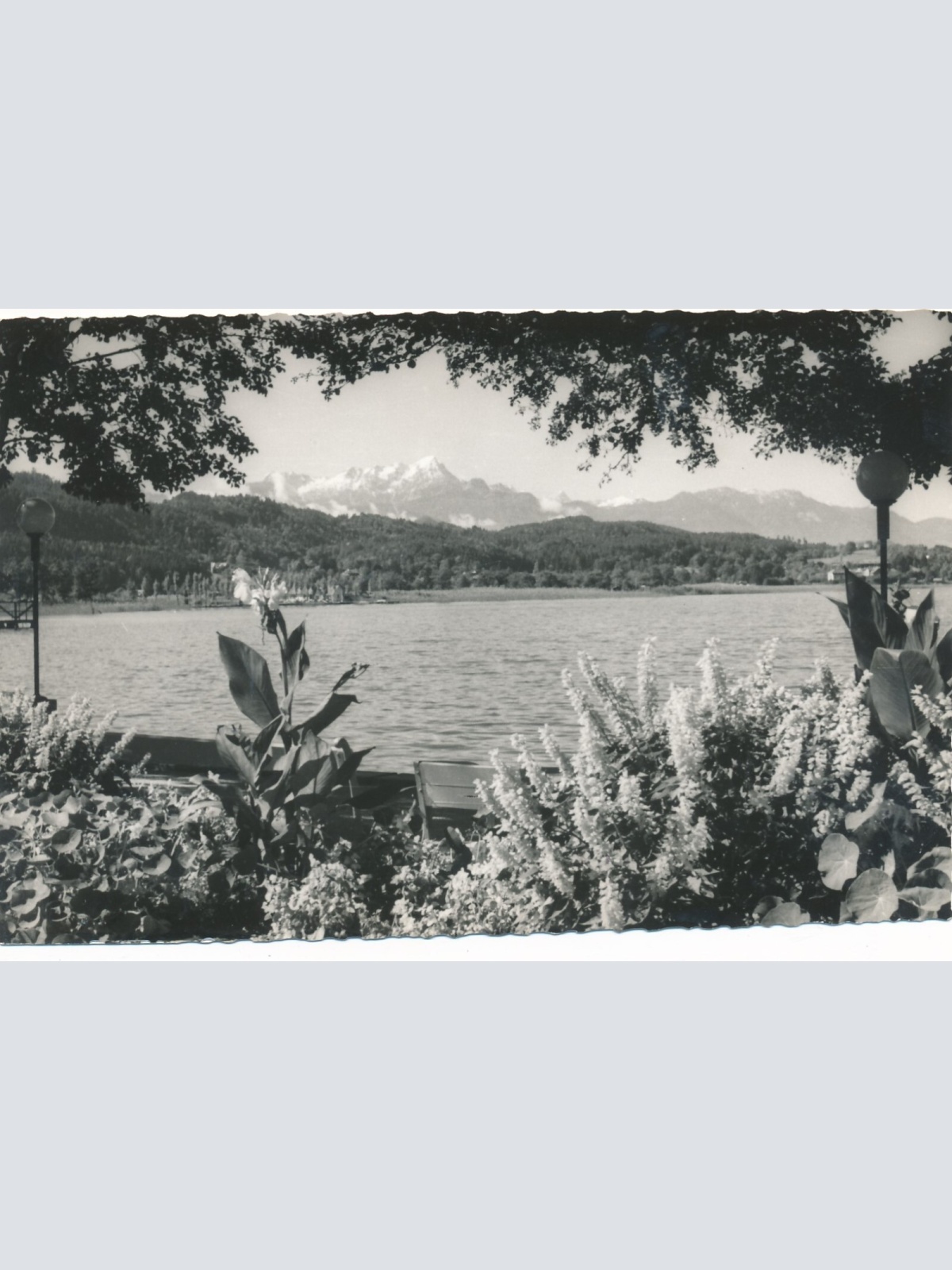 AK vom Wörthersee Kärnten Ansichtskarte (12180)