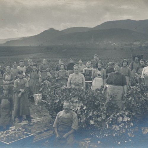 AK Annodazumals Prozession im Herbst 1911 Ansichtskarte (12487)