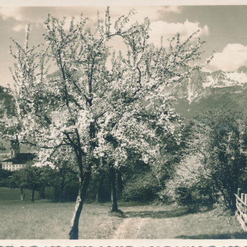 AK aus Admont Steiermark Ansichtskarte (12407)