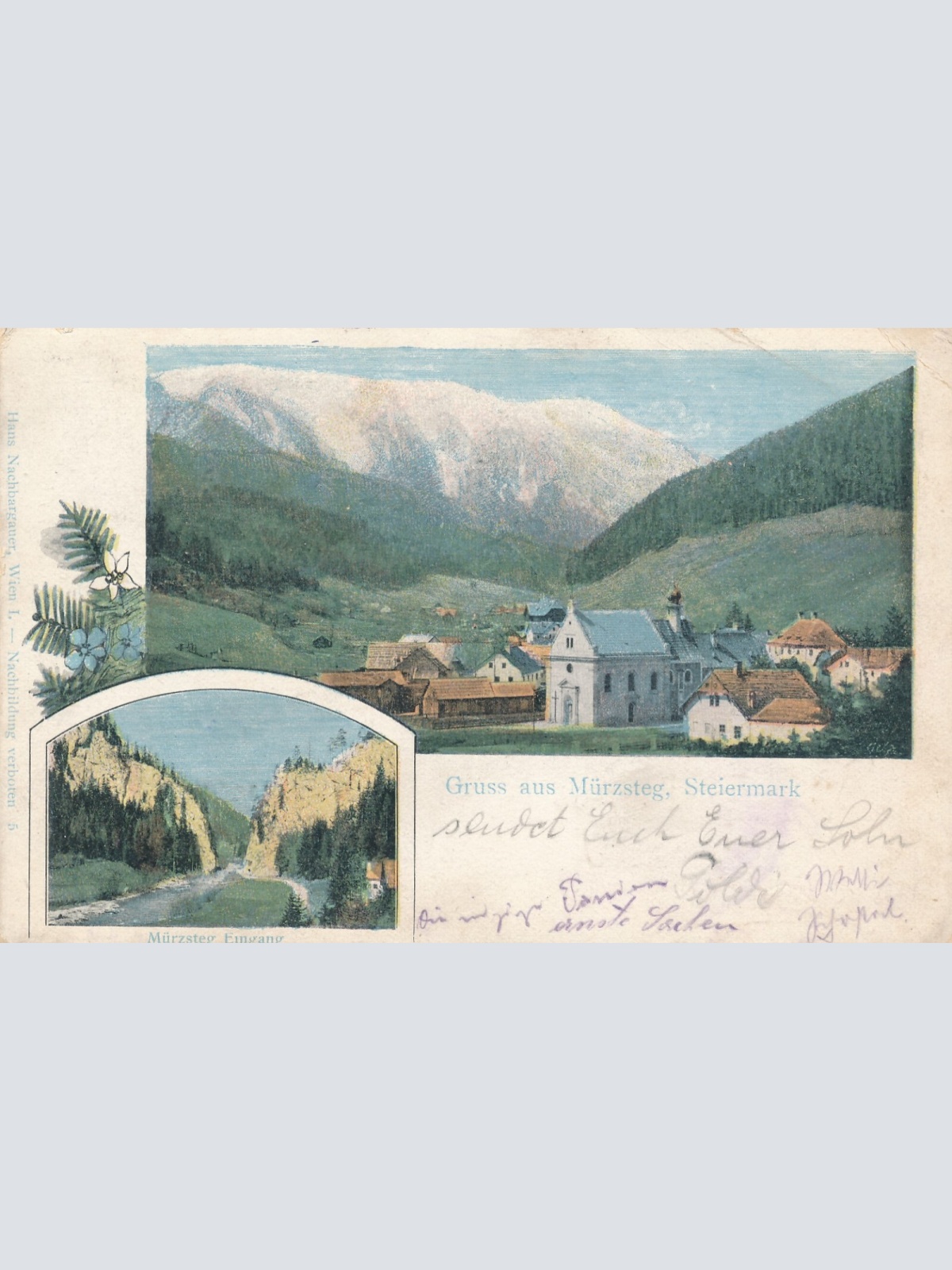 AK gruss aus Mürzsteg Steiermark Ansichtskarte (12598)