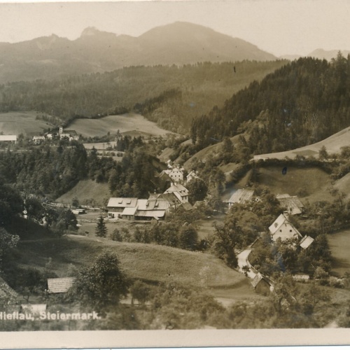 AK aus Gams bei Hieflau Steiermark Ansichtskarte (12372)