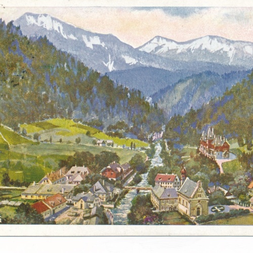 AK aus Mürzsteg Steiermark Ansichtskarte (12808)