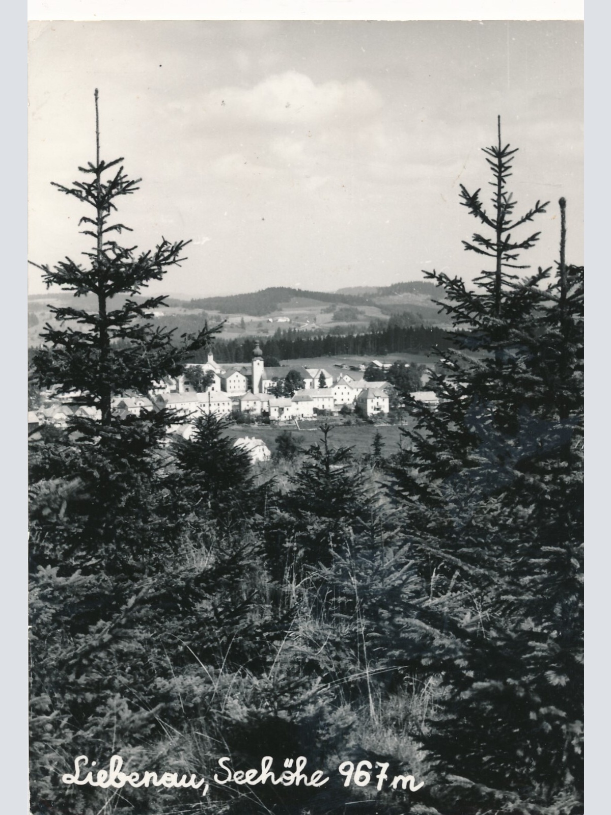 AK aus Liebenau Oberösterreich Ansichtskarte (12861)