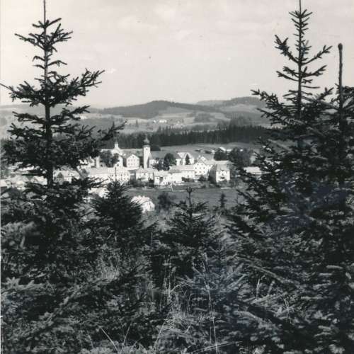 AK aus Liebenau Oberösterreich Ansichtskarte (12861)