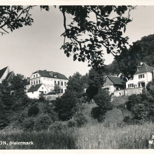 AK aus Wildon Steiermark Ansichtskarte (11870)