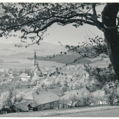 AK aus Rohrbach Oberösterreich Ansichtskarte (12934)