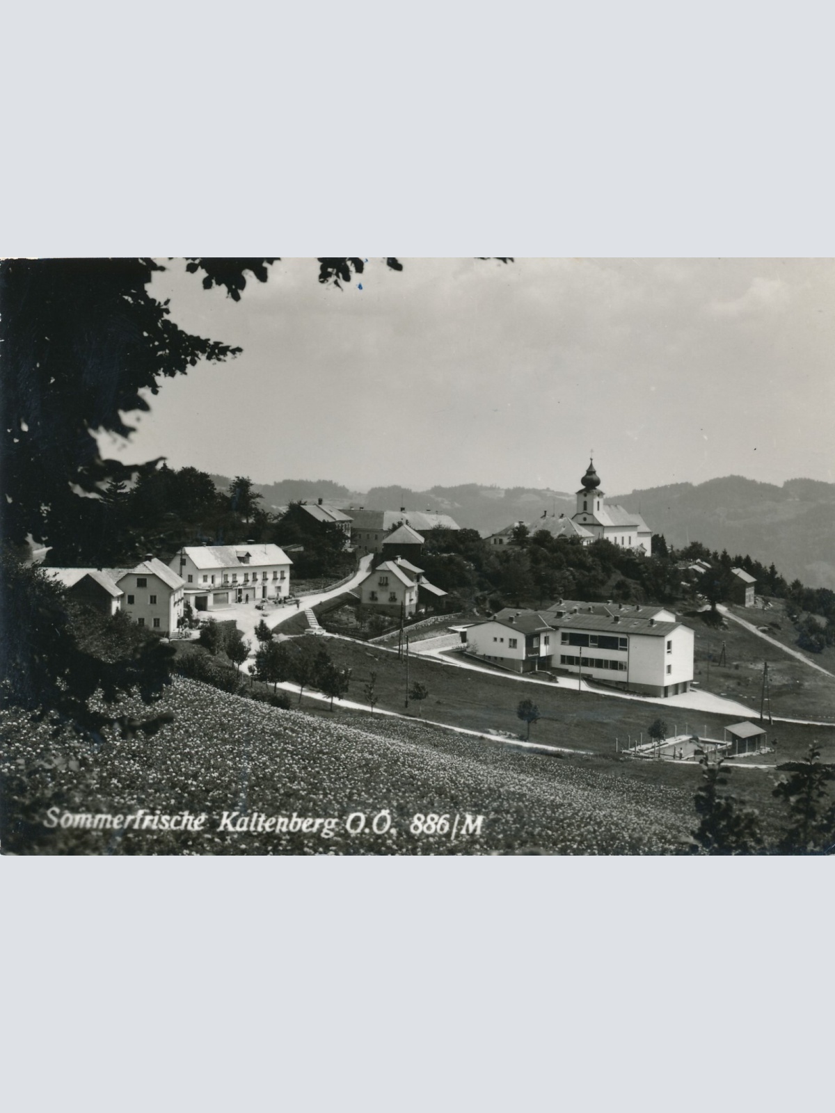 AK aus Kaltenberg Oberösterreich (12916)