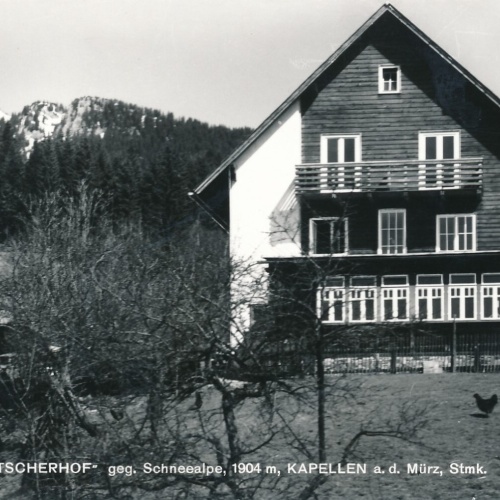 AK vom Alpengasthof Tatscherhof Steiermark Ansichtskarte (13132)