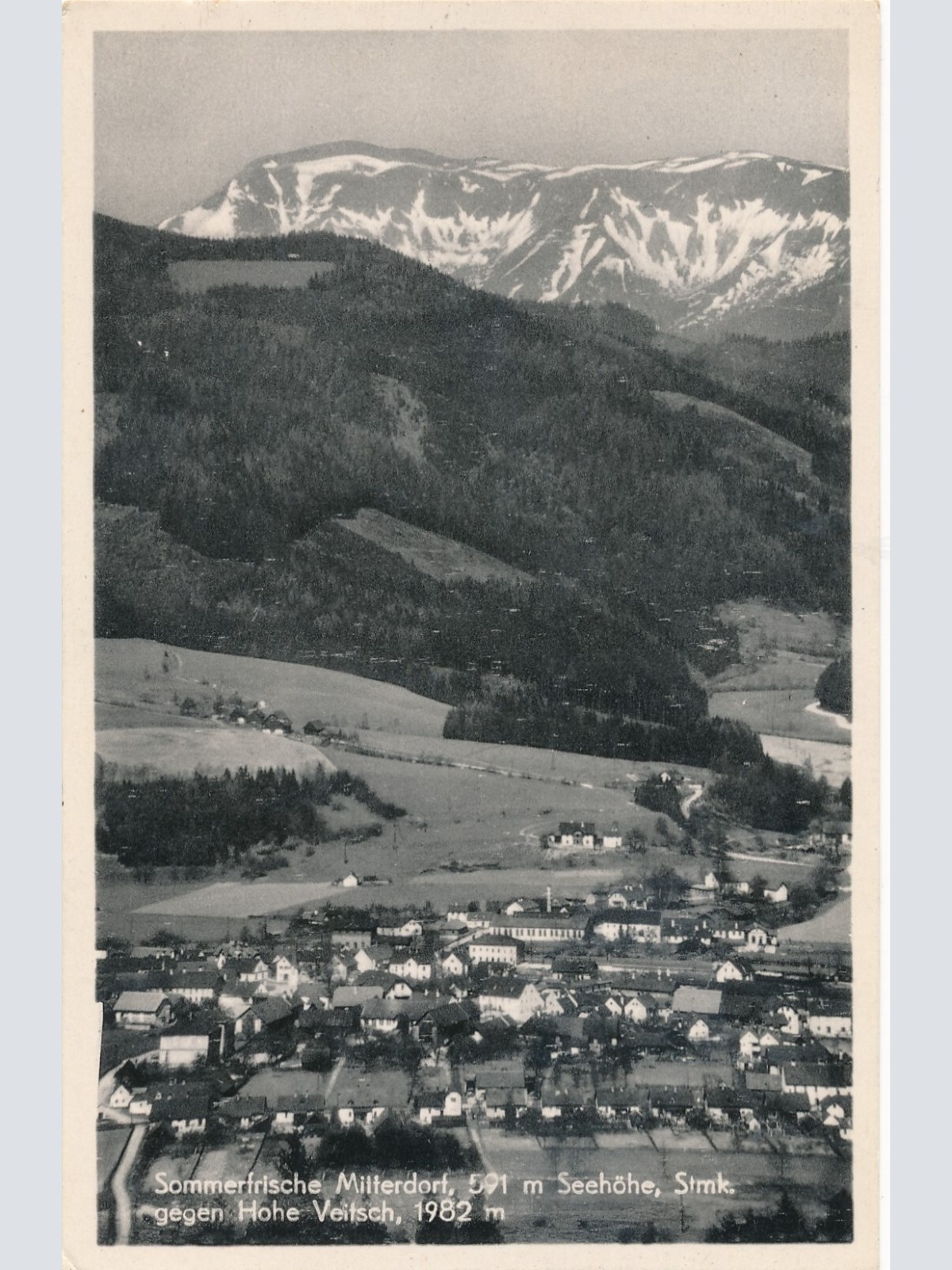 AK aus Mitterdorf Steiermark Ansichtskarte (13061)