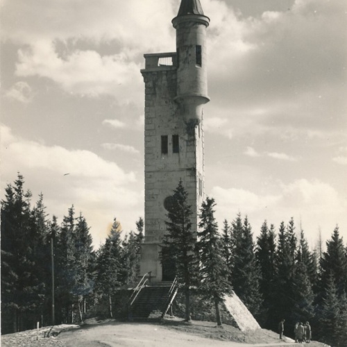 AK von der Bürgeralpe mit Aussichtsturm Steiermark Ansichtskarte (13102)