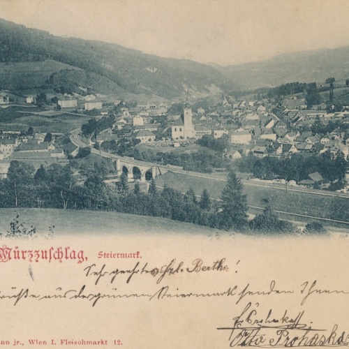 AK aus Mürzzuschlag Steiermark Ansichtskarte (12334)
