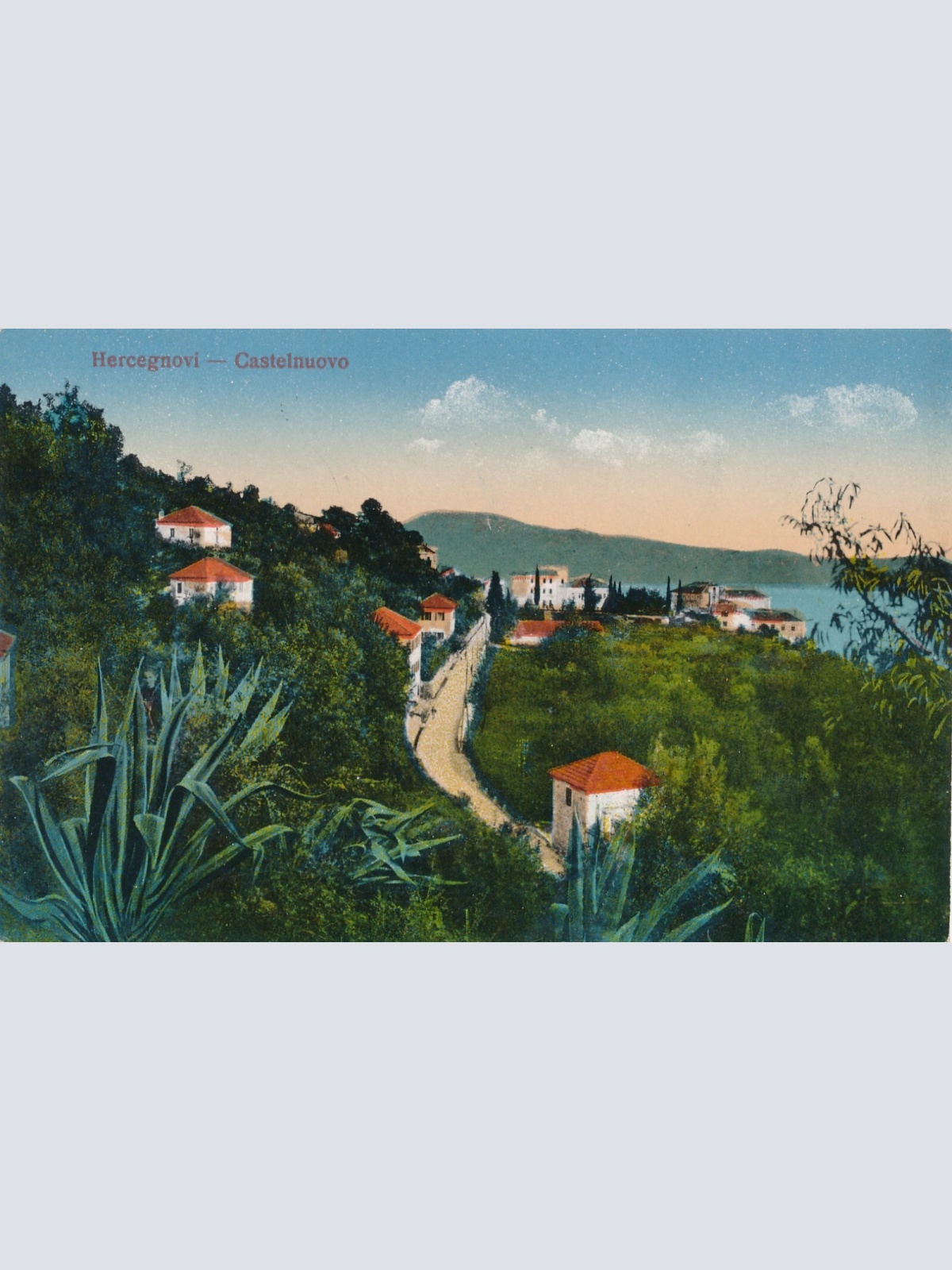 AK aus Castelnuovo - Hercegnovi Montenegro Ansichtskarte (12545)