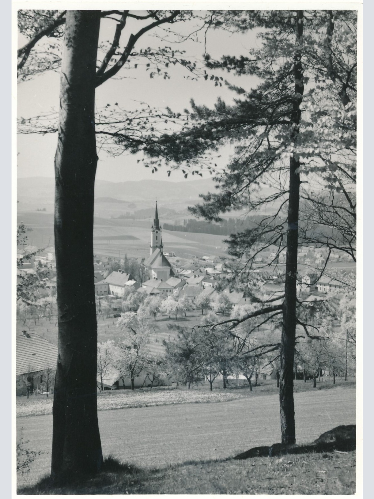 AK aus Rohrbach Oberösterreich Ansichtskarte (12963)