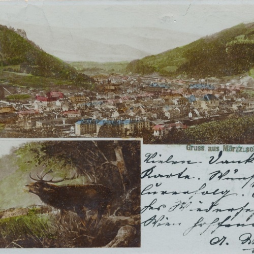 AK gruss aus Mürzzuschlag mit Hirsch Steiermark Ansichtskarte (13371)