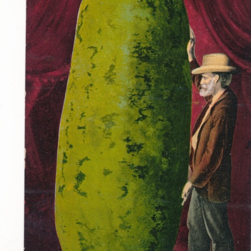 Motiv - Karte Riesen Wassermelone mit Mann Ansichtskarte (11791)